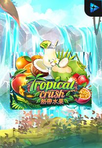 Bocoran RTP Tropical Crush di RTP PIN4D