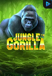 Bocoran RTP Jungle Gorilla di RTP PIN4D